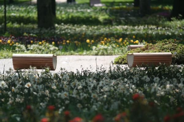 LaGa Aschersleben 2010